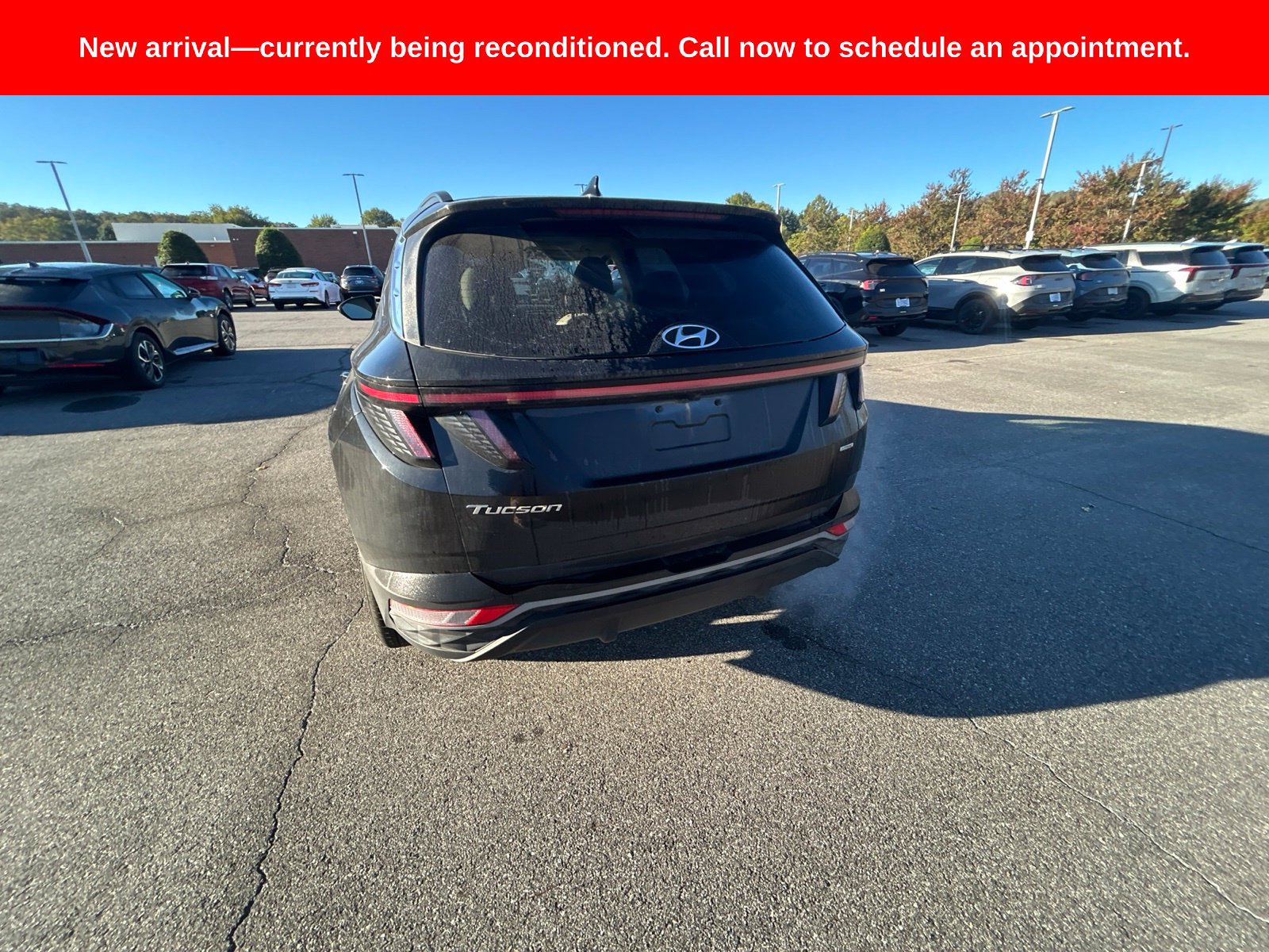 Used 2023 Hyundai Tucson SEL w/ Convenience Package AWD/4WD image 12