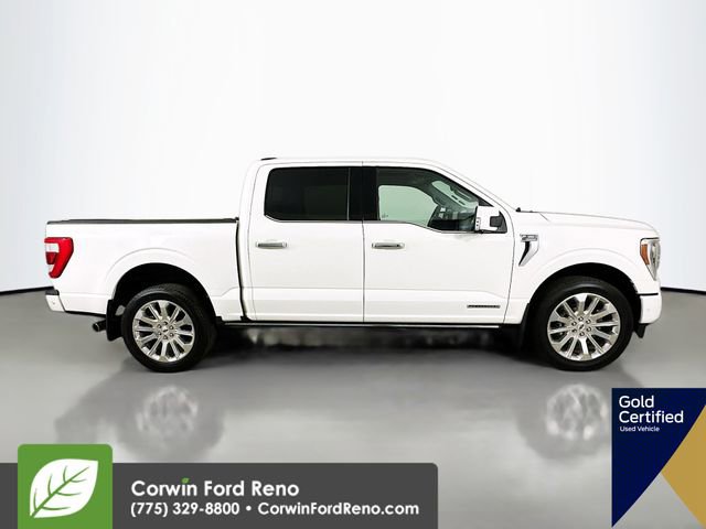 Certified 2023 Ford F150 Limited image 10