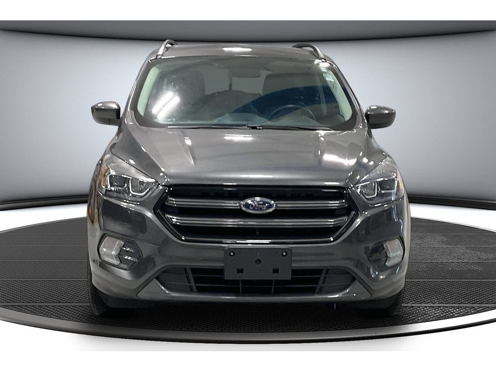 Used 2019 Ford Escape SEL AWD/4WD image 4