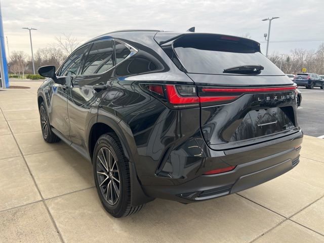 Used 2024 Lexus NX 350h AWD image 9