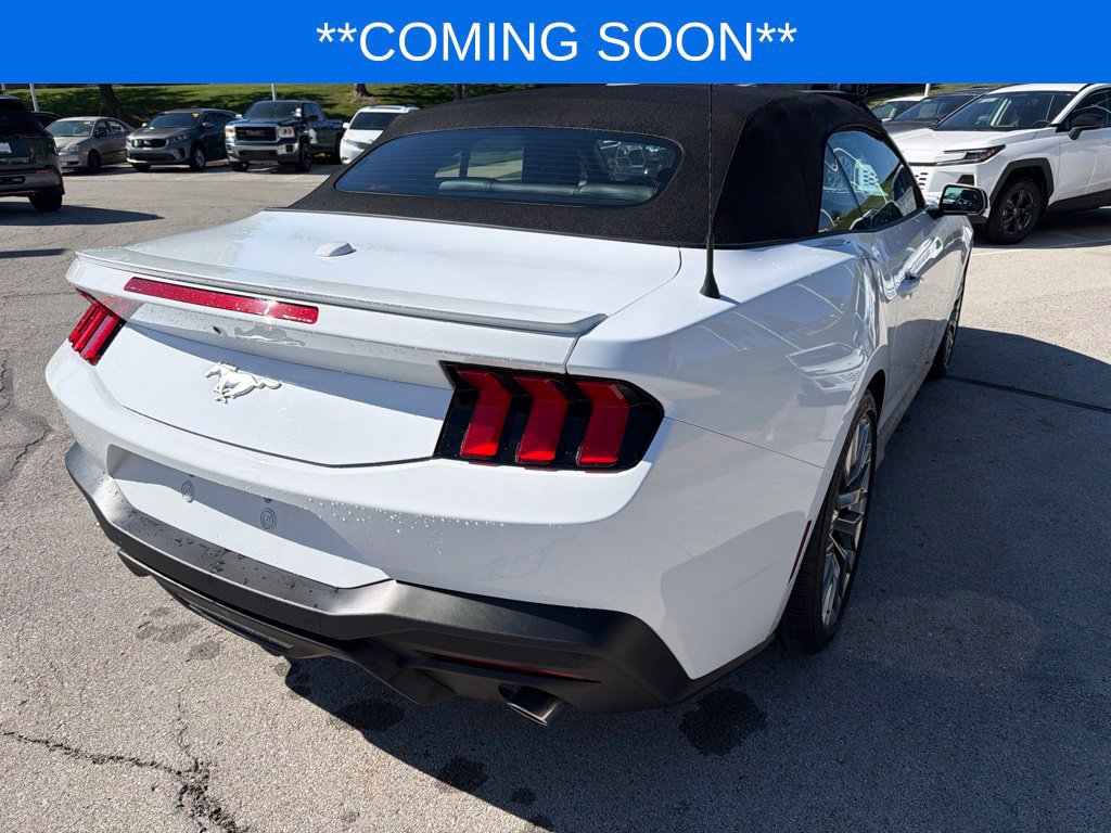 Used 2024 Ford Mustang Premium RWD image 6