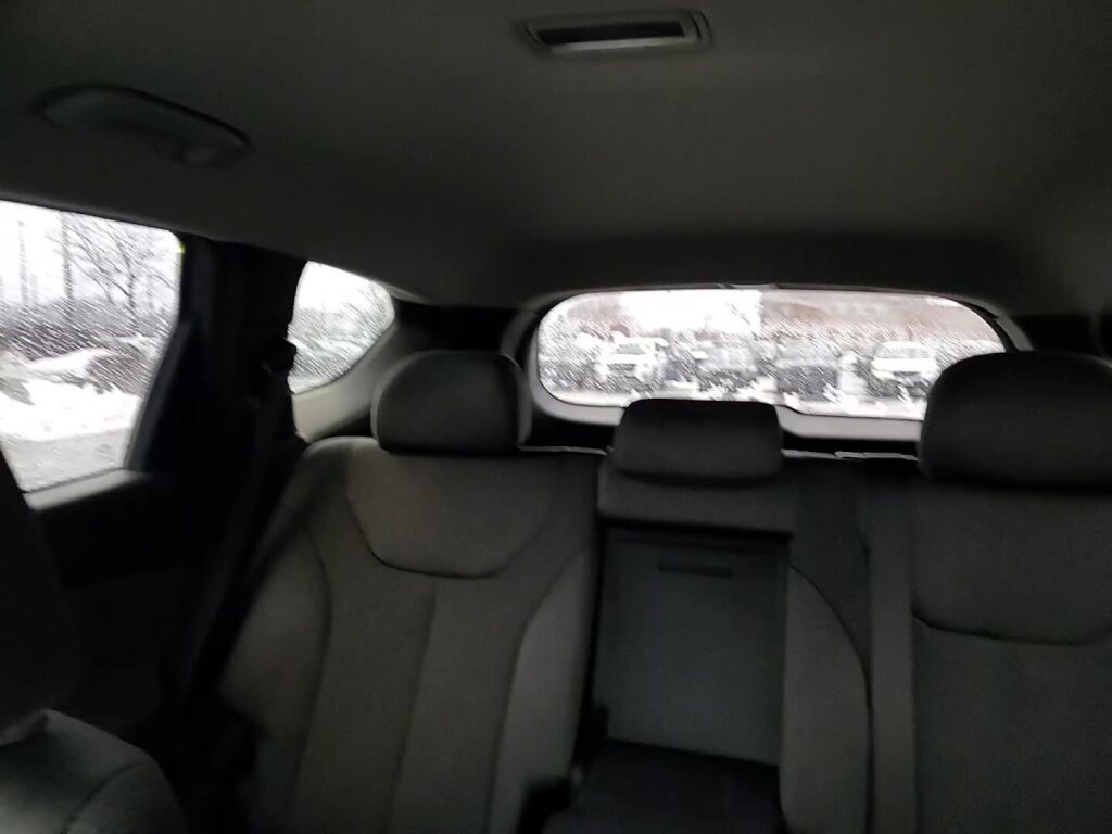 Used 2019 Hyundai Santa Fe SE image 33