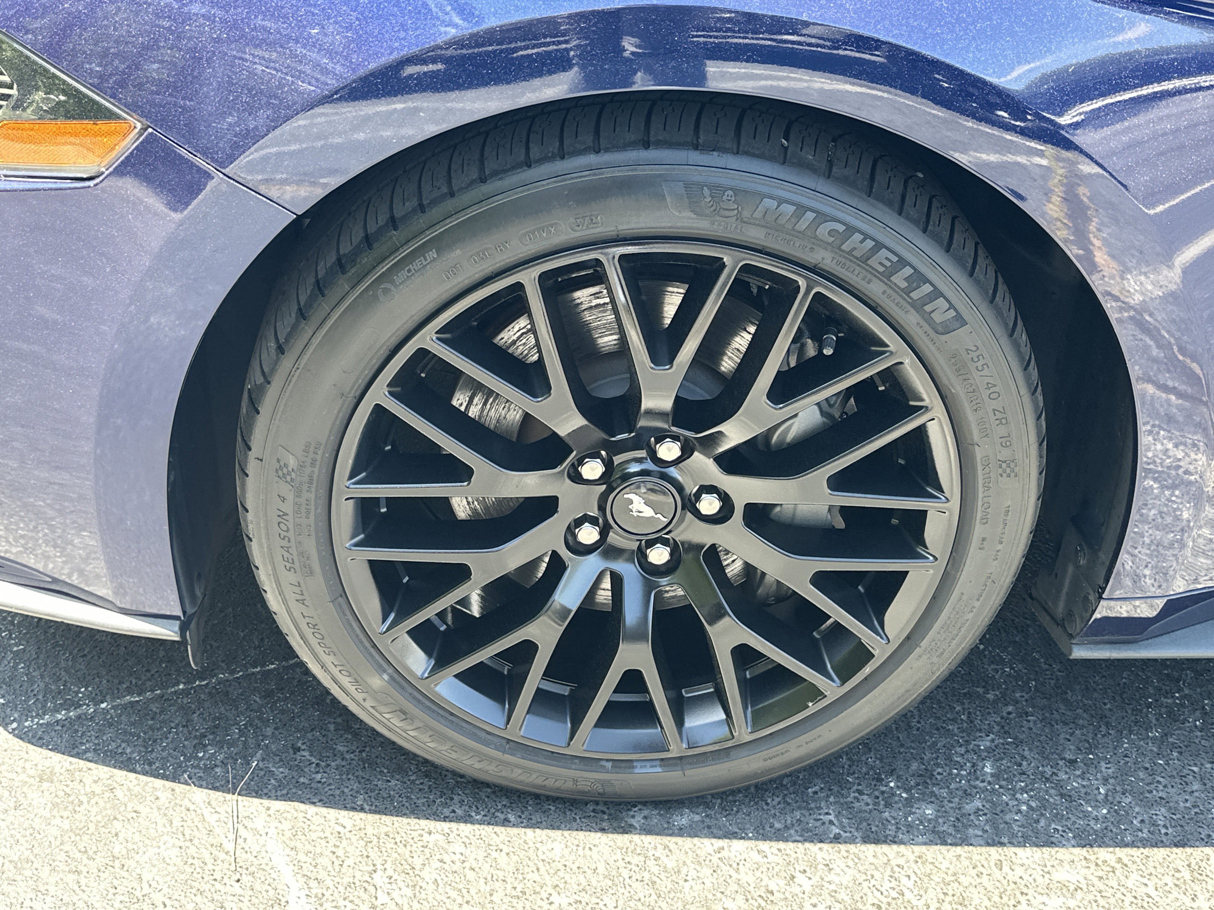 Used 2019 Ford Mustang GT Premium image 13