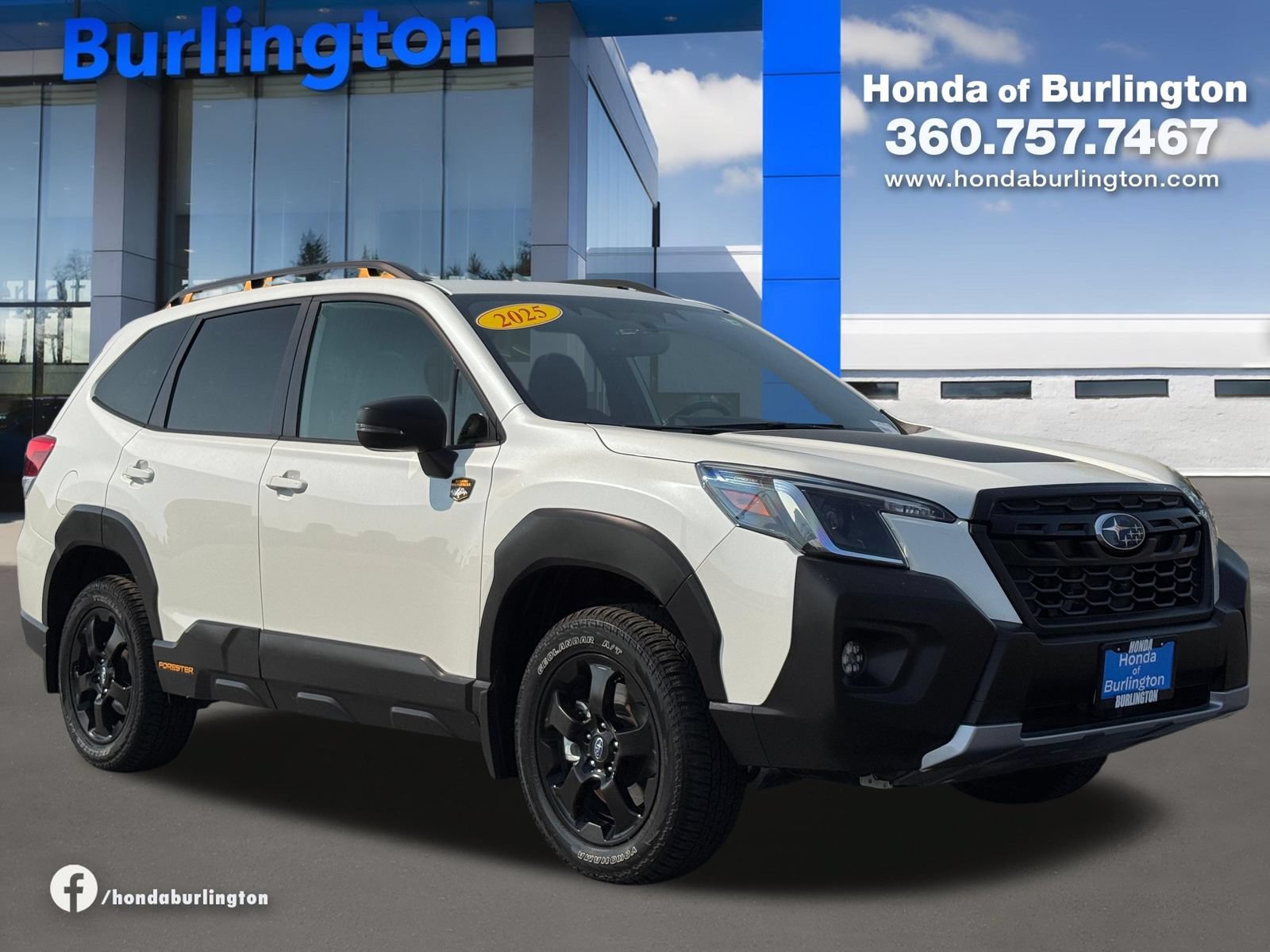 Used 2025 Subaru Forester Wilderness AWD/4WD image 8