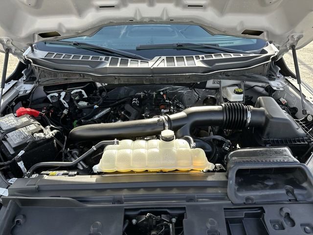 Used 2025 Ford F150 XLT w/ Equipment Group 301A Standard image 30