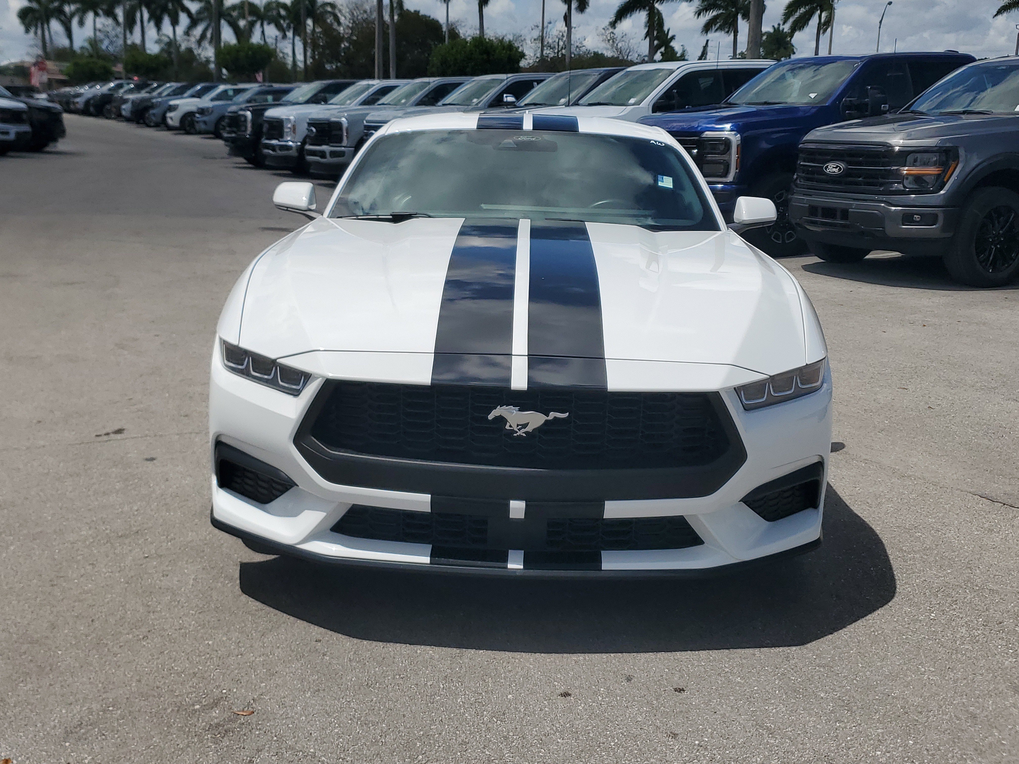 Used 2024 Ford Mustang Premium image 2