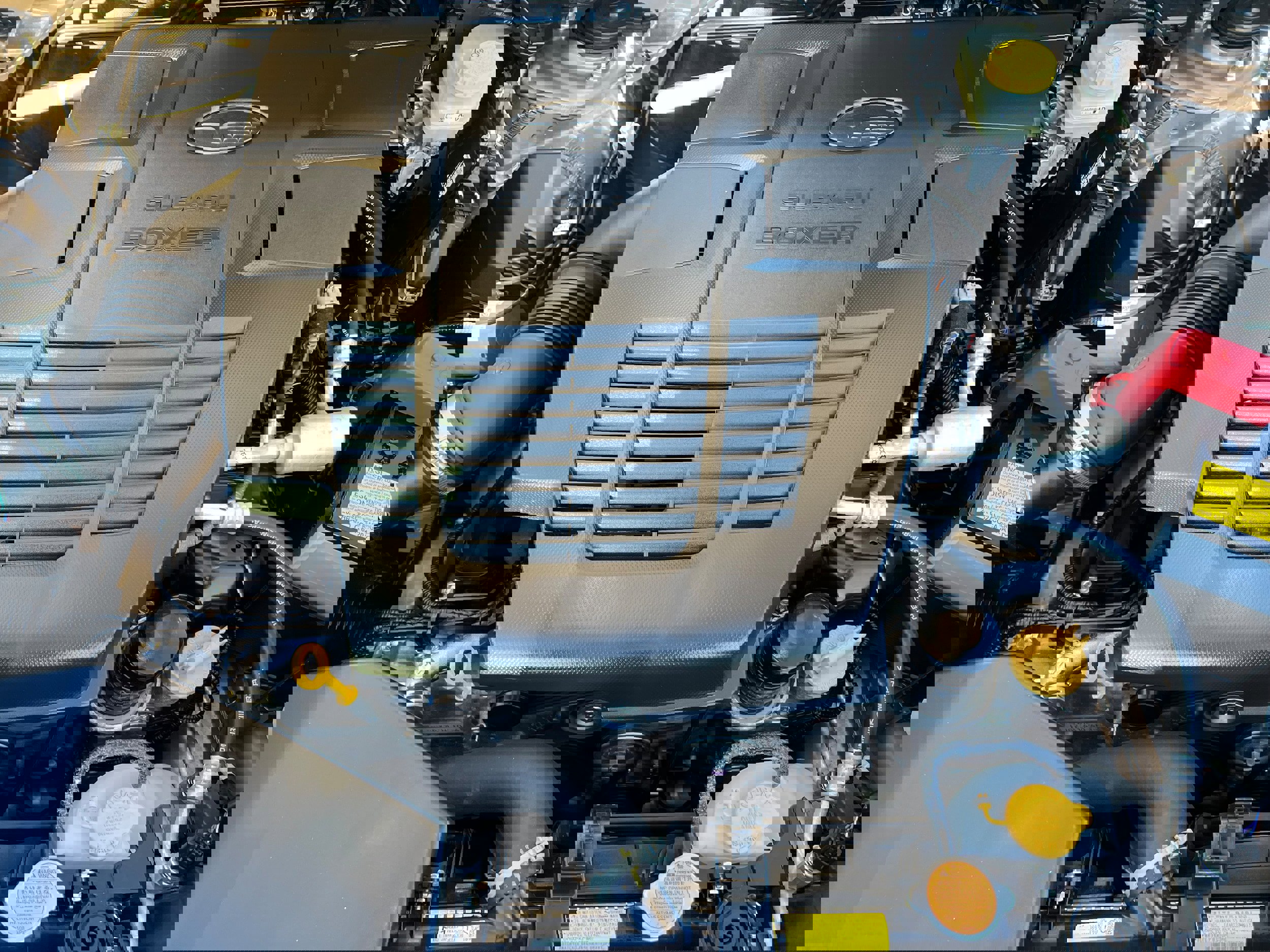 Certified 2024 Subaru Forester Touring image 10