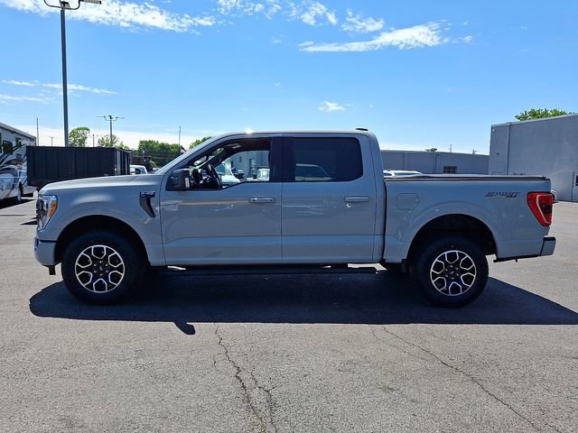Used 2023 Ford F150 XLT w/ Equipment Group 302A High AWD/4WD image 7
