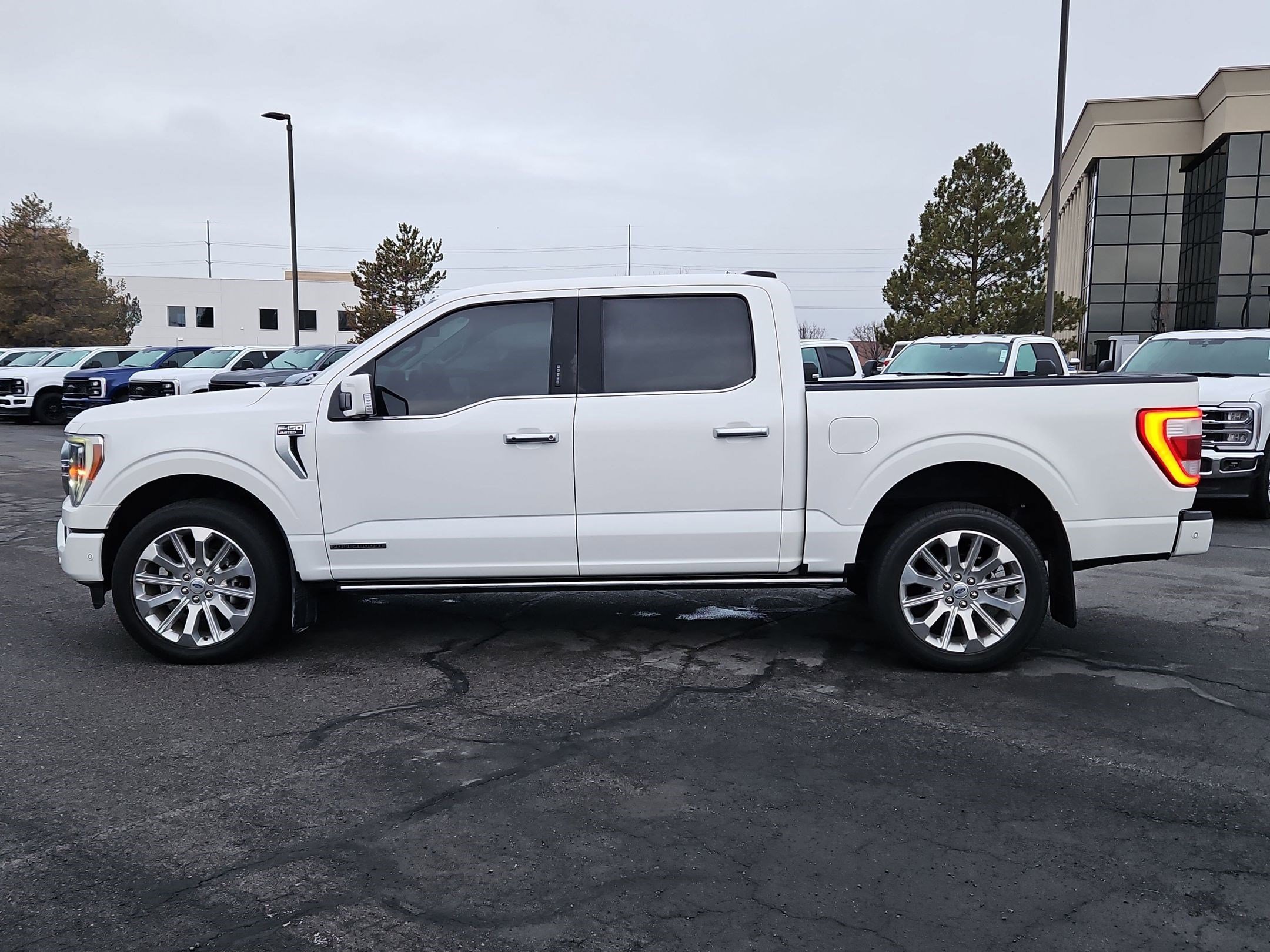 Used 2023 Ford F150 Limited image 10