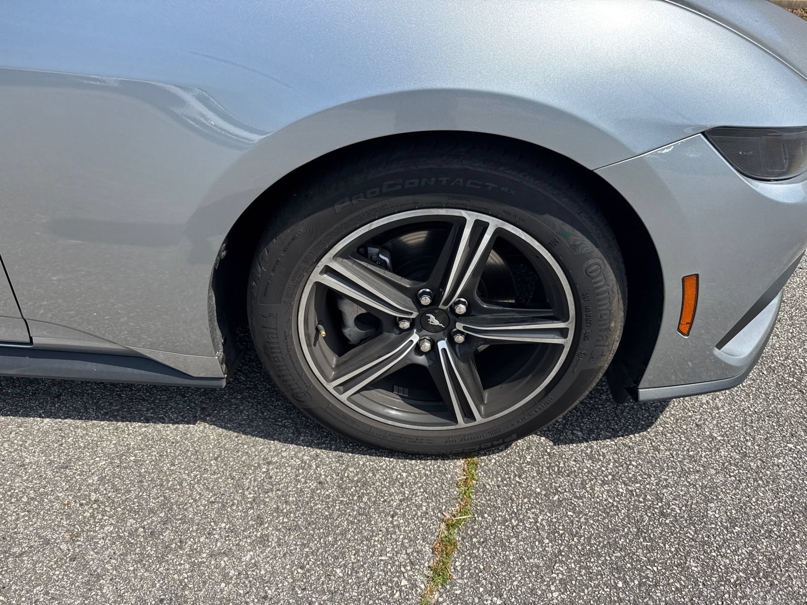 Used 2025 Ford Mustang Premium RWD image 12