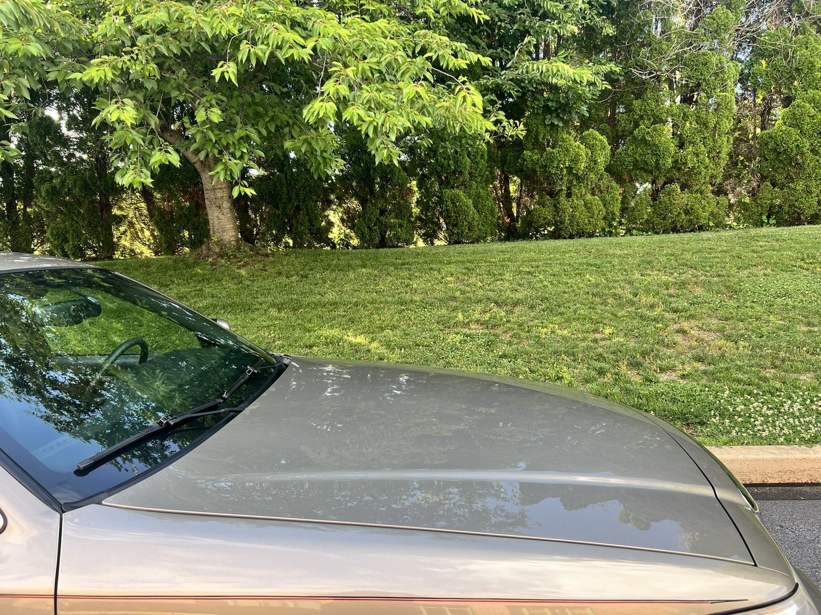 Used 2003 Mercury Grand Marquis LS RWD image 51