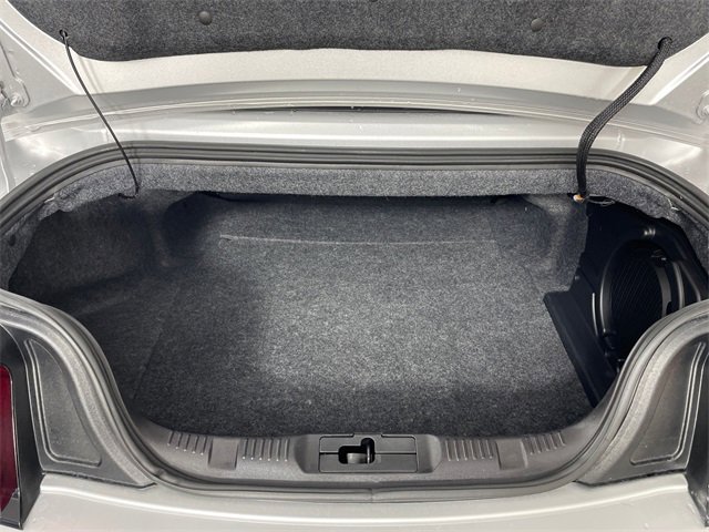 Used 2016 Ford Mustang GT Premium w/ Equipment Group 401A image 17