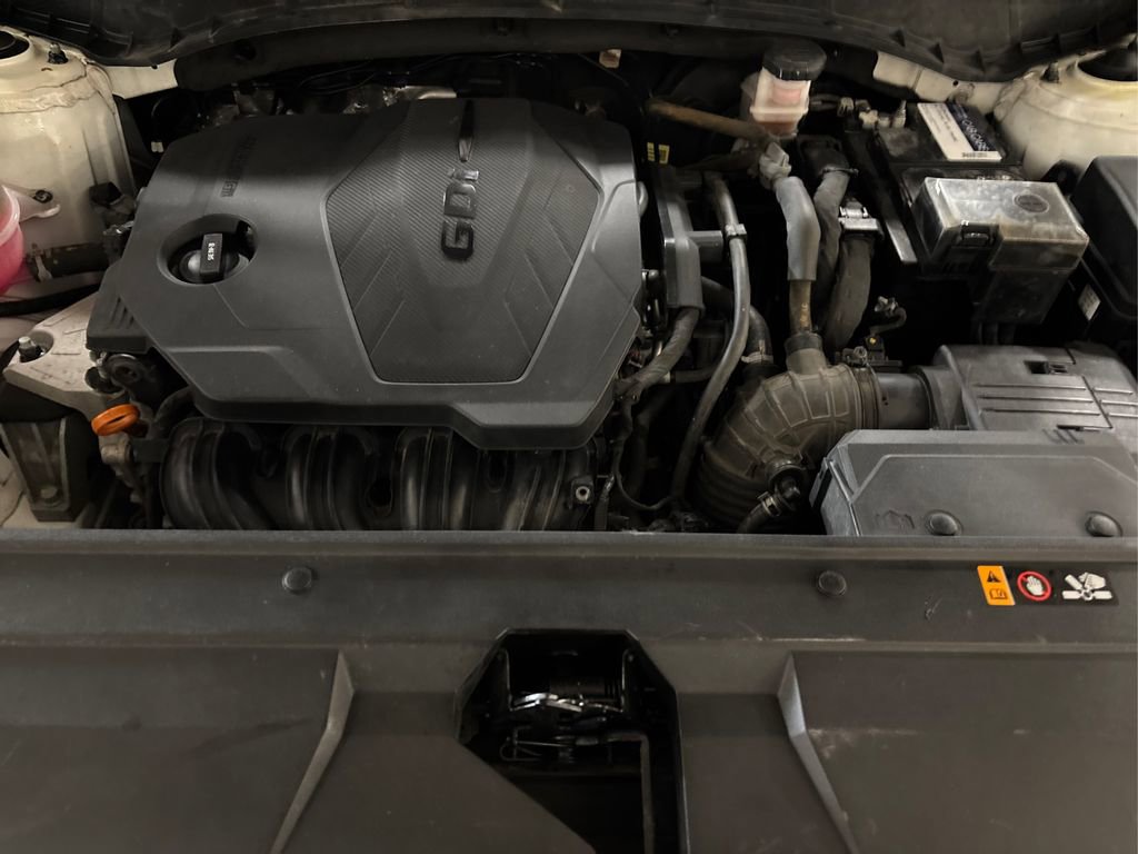 Used 2022 Hyundai Santa Cruz SEL w/ Activity Package image 12