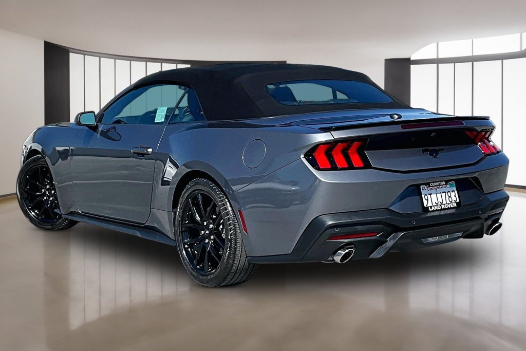 Used 2025 Ford Mustang Convertible w/ Mustang Nite Pony Package RWD image 4
