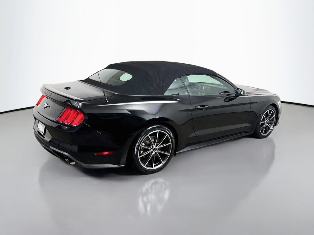 Used 2019 Ford Mustang Premium w/ Equipment Group 201A RWD image 7