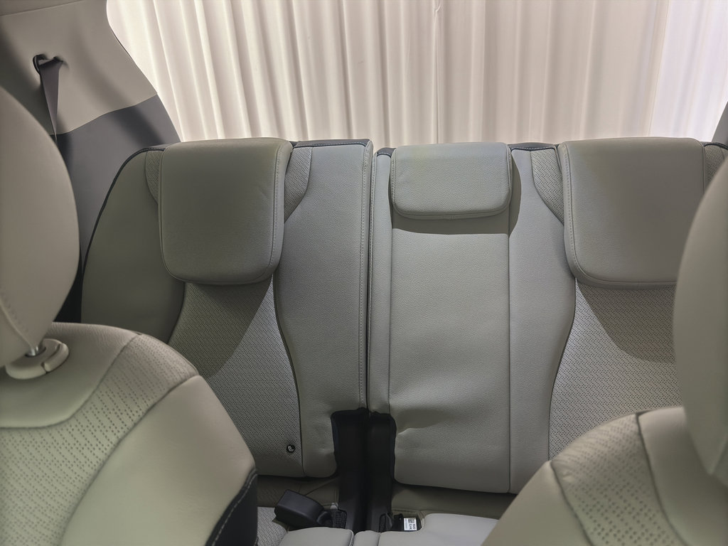 New 2026 Kia Carnival SX Prestige image 12