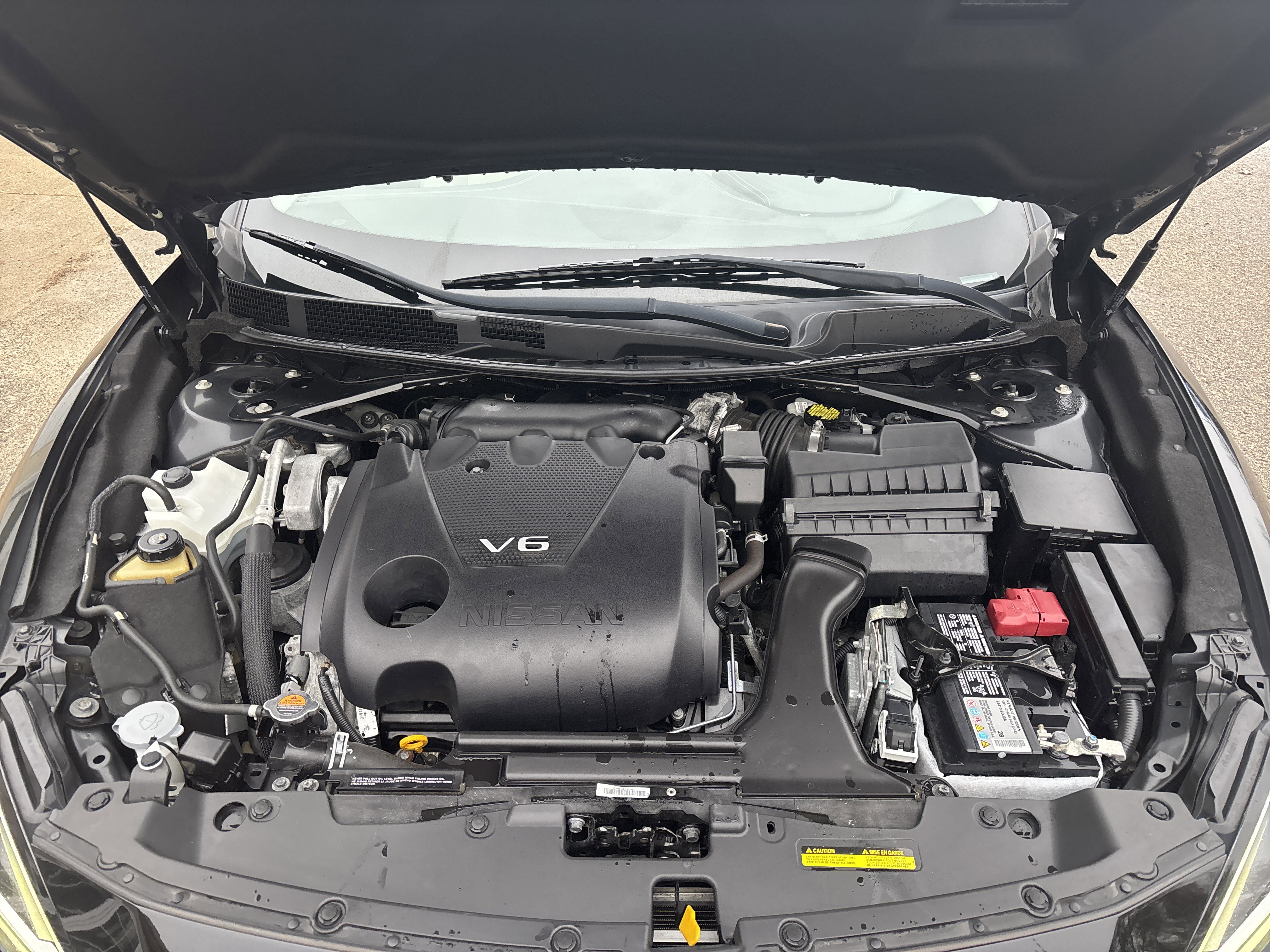 Used 2019 Nissan Maxima 3.5 SV w/ Floor Mat Group image 14