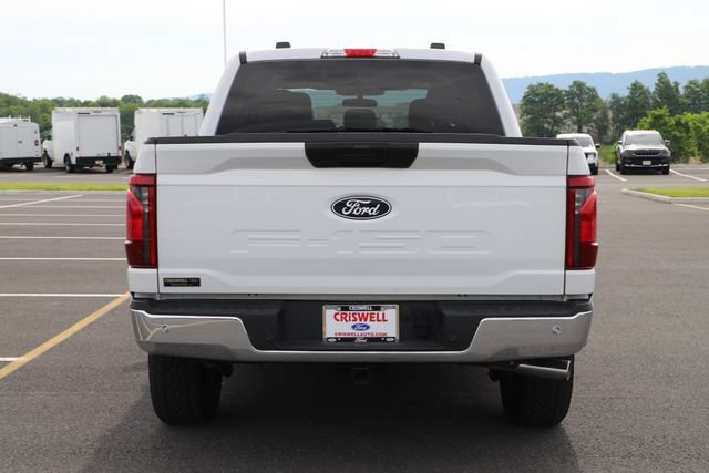 Used 2025 Ford F150 XLT w/ Equipment Group 301A Standard AWD/4WD image 6
