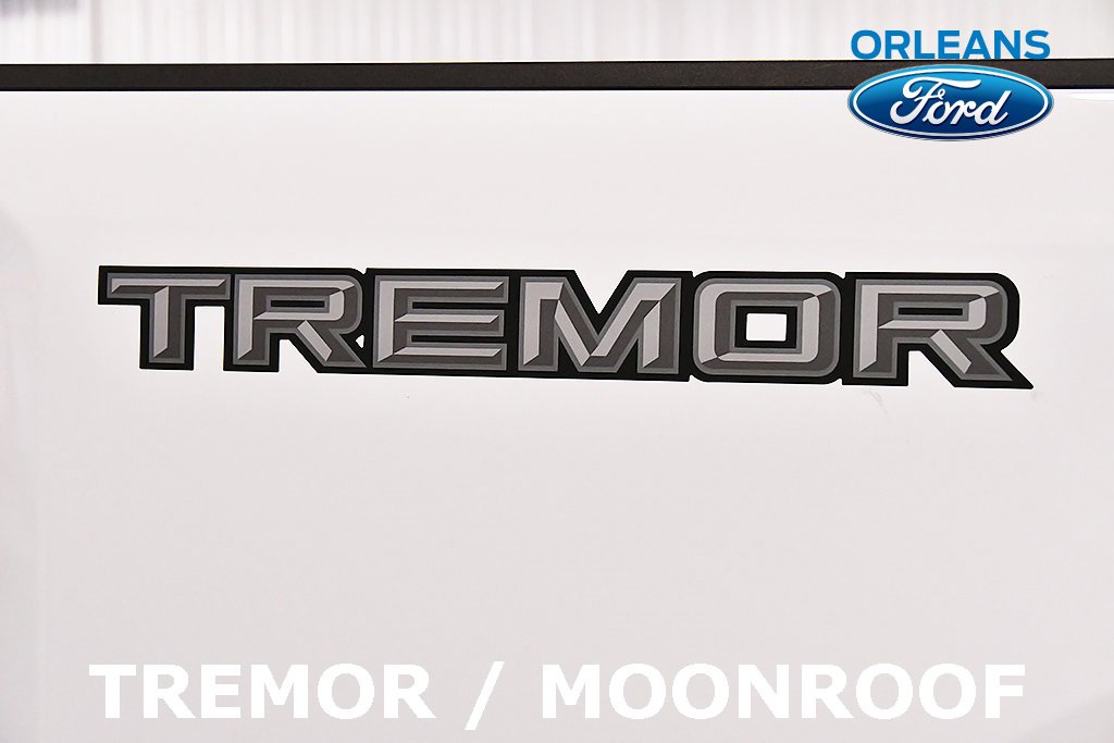 Used 2025 Ford F250 XLT w/ Black Appearance Package image 12