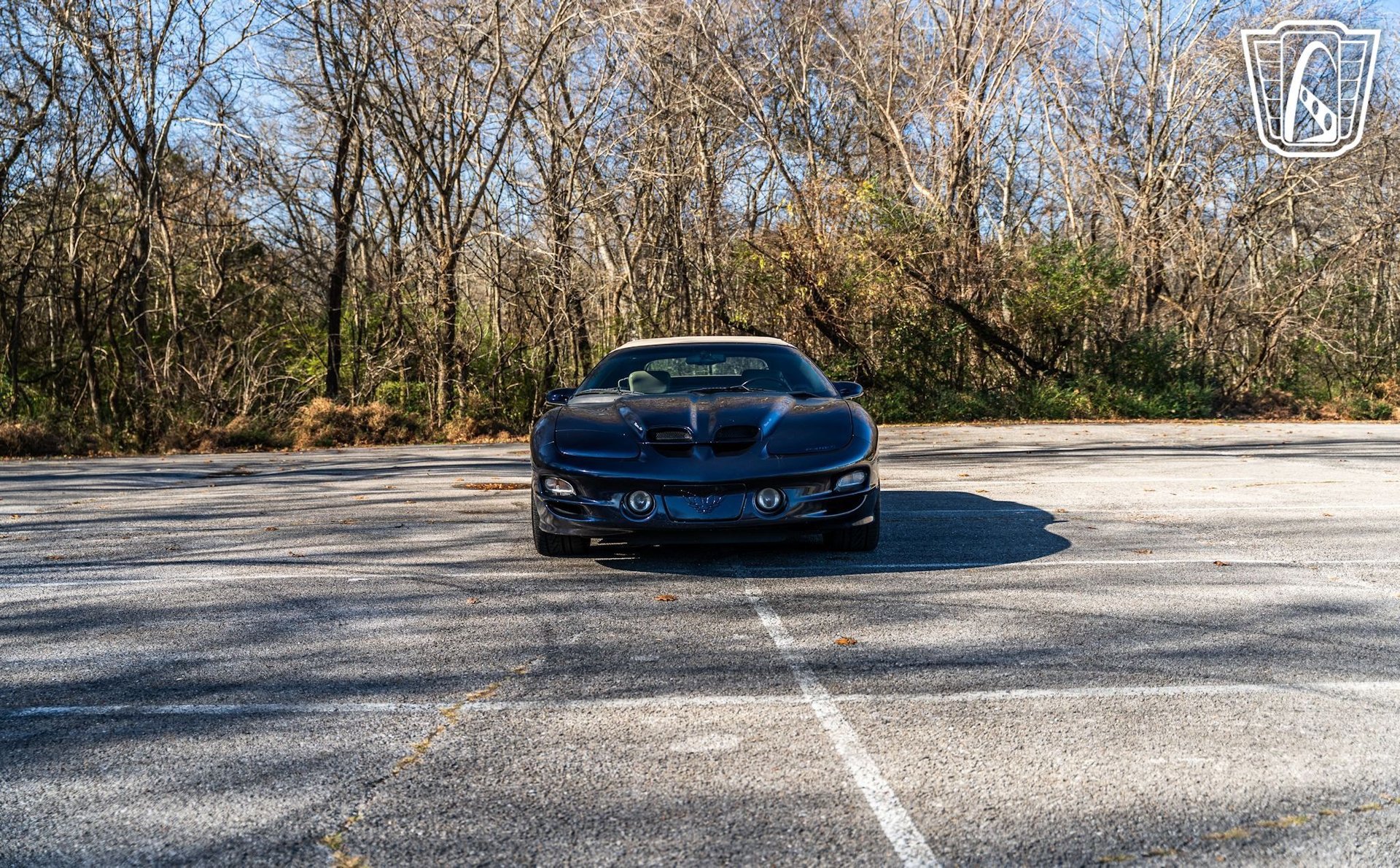 Used 2000 Pontiac Firebird Trans Am image 3