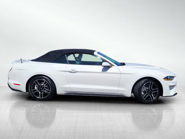 Certified 2023 Ford Mustang Premium RWD image 3