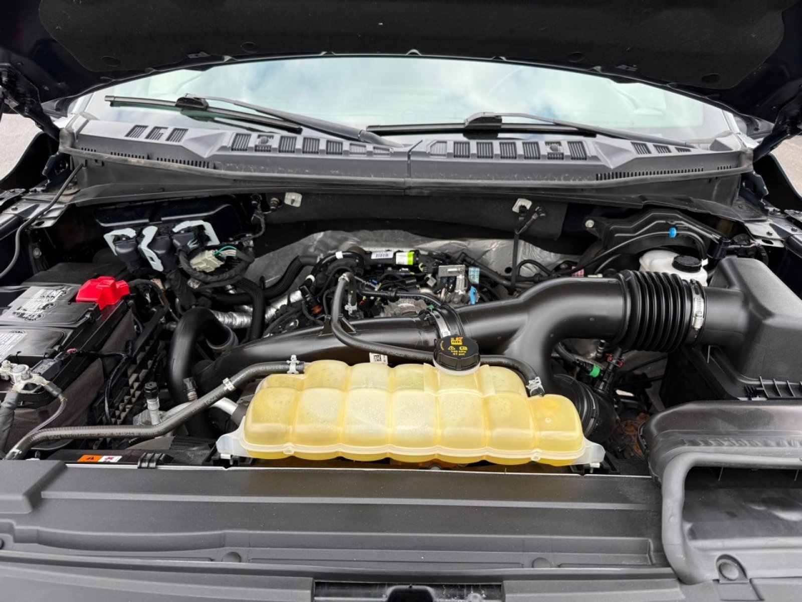 Used 2019 Ford F150 XLT w/ Equipment Group 302A Luxury AWD/4WD image 40