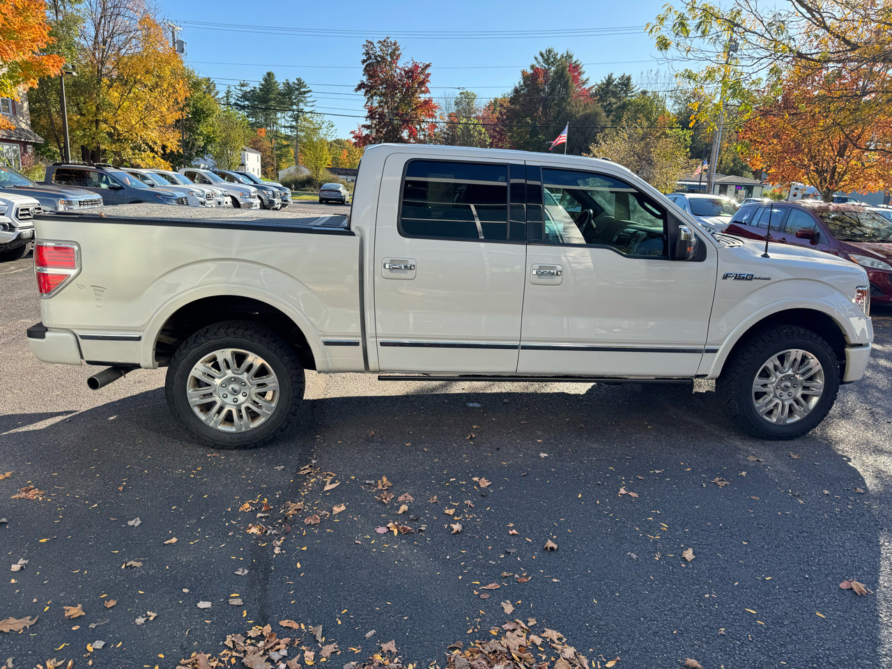 Used 2014 Ford F150 Platinum image 6