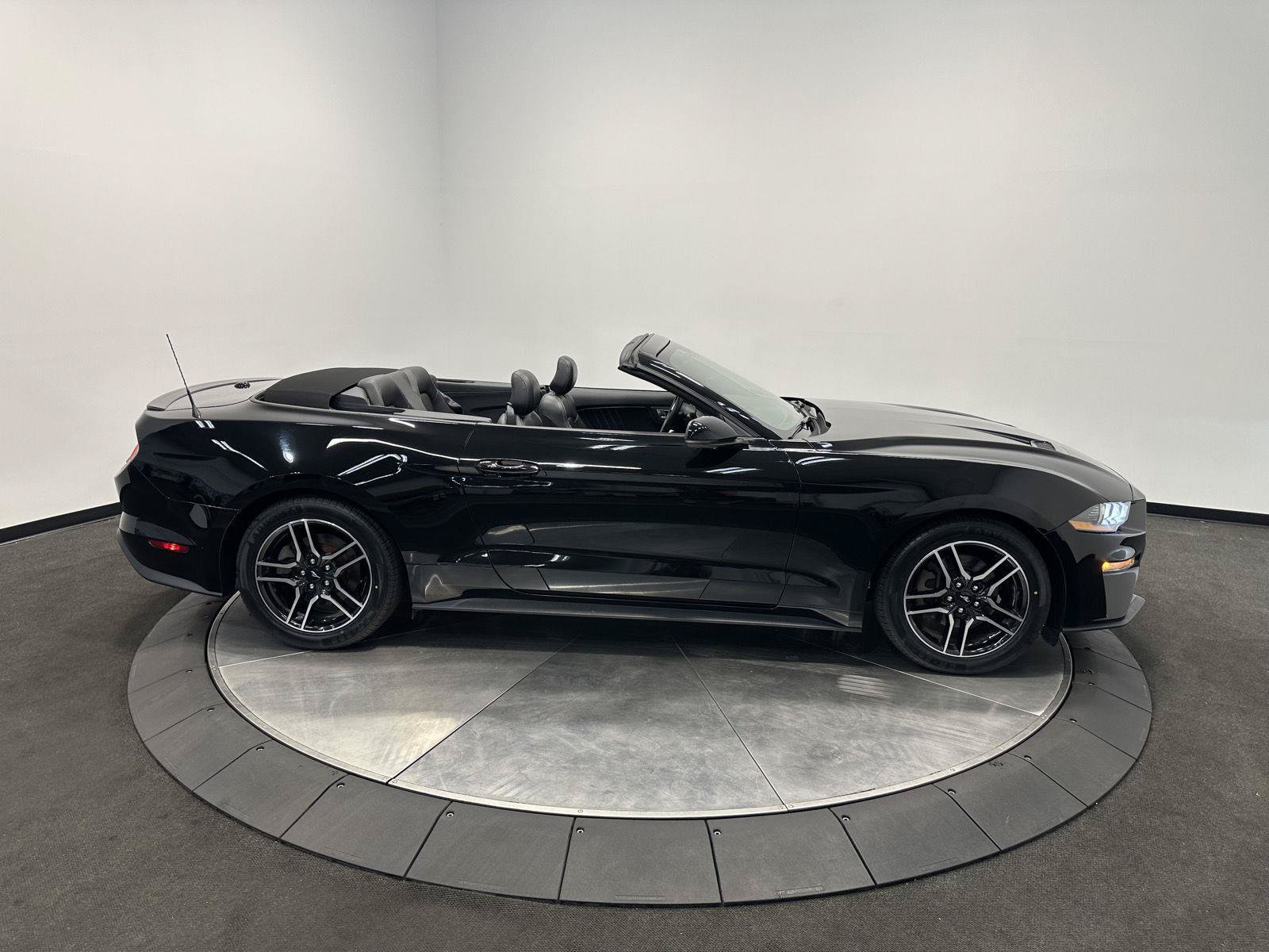 Used 2019 Ford Mustang Premium RWD image 11