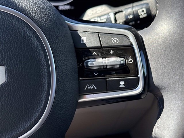 Used 2024 Kia Carnival SX Prestige image 24
