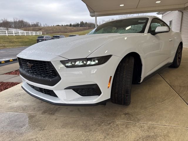 New 2026 Ford Mustang Coupe w/ Bronze Appearance Package image 8