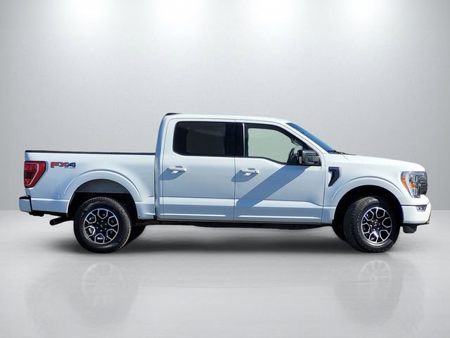 Used 2023 Ford F150 XLT w/ Equipment Group 302A High image 3