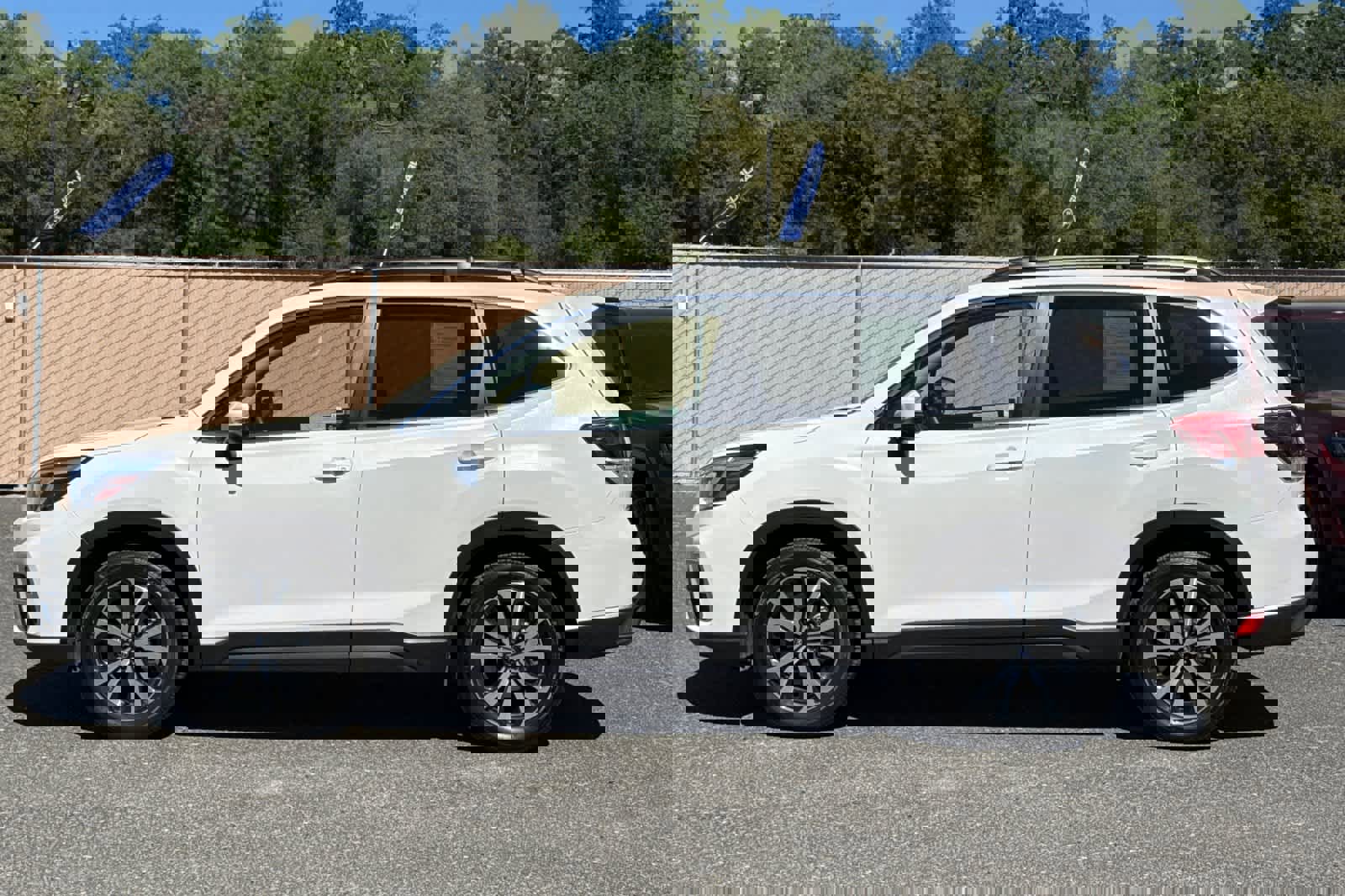 Used 2019 Subaru Forester Limited image 6