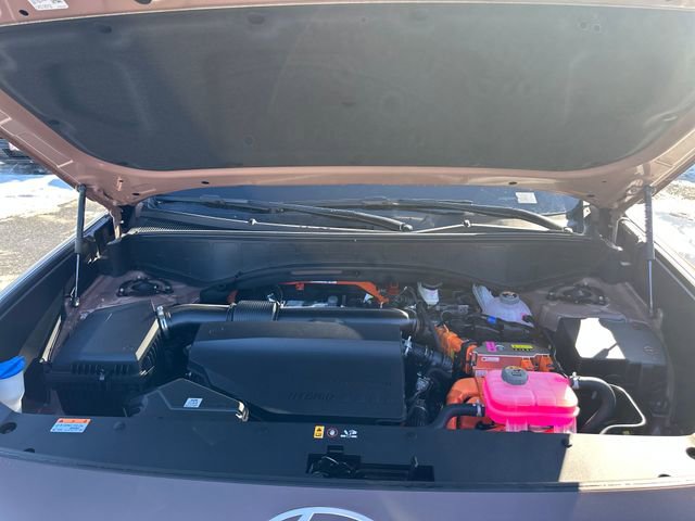 New 2026 Hyundai Palisade Calligraphy image 25