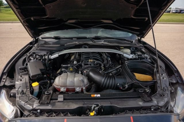 Used 2016 Ford Mustang Shelby GT350R RWD image 24