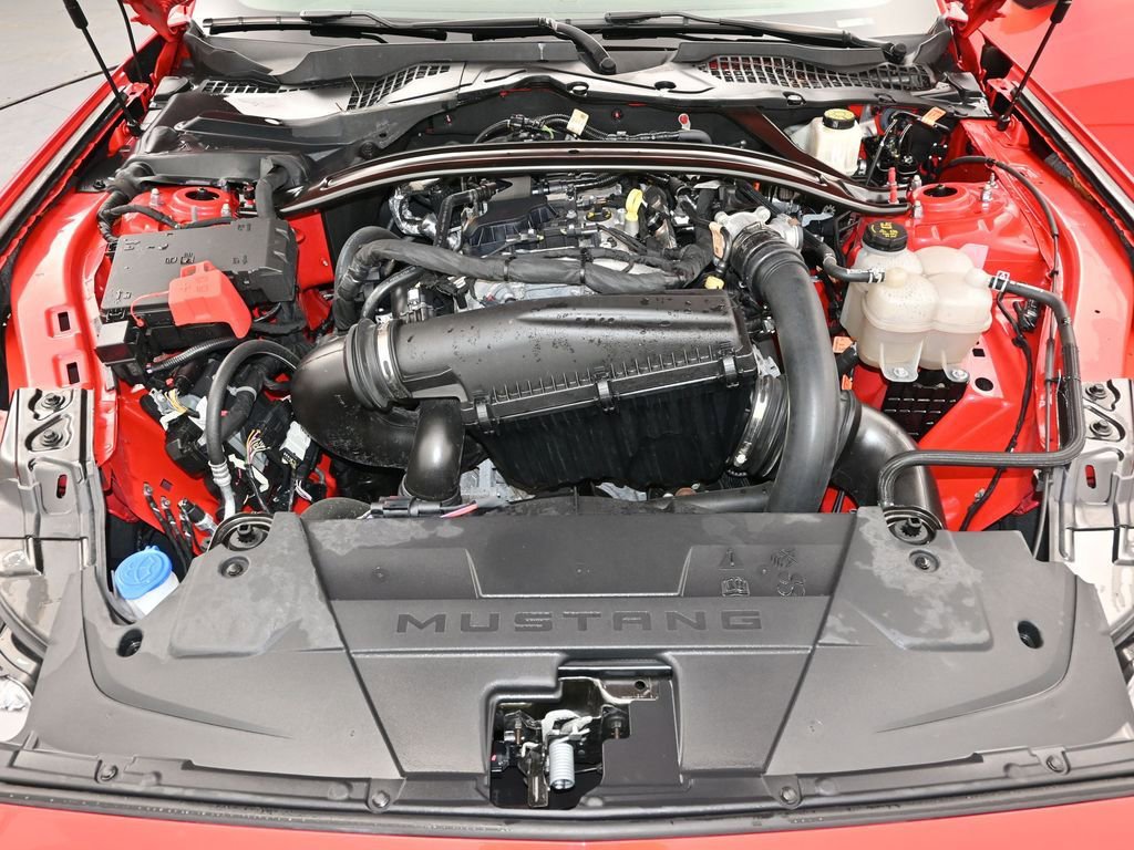 Used 2024 Ford Mustang EcoBoost image 12