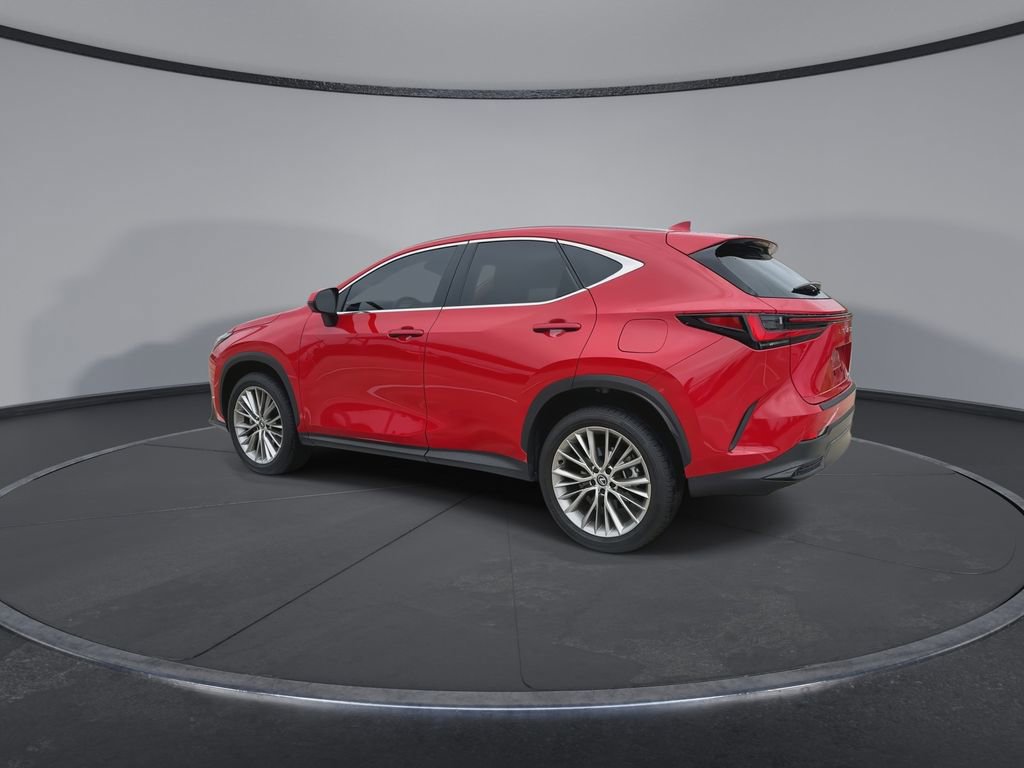 Used 2025 Lexus NX 350 AWD w/ Cold Area Package image 6