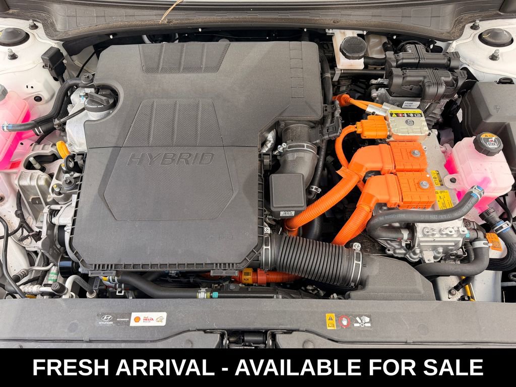 Used 2024 Hyundai Elantra Limited image 16