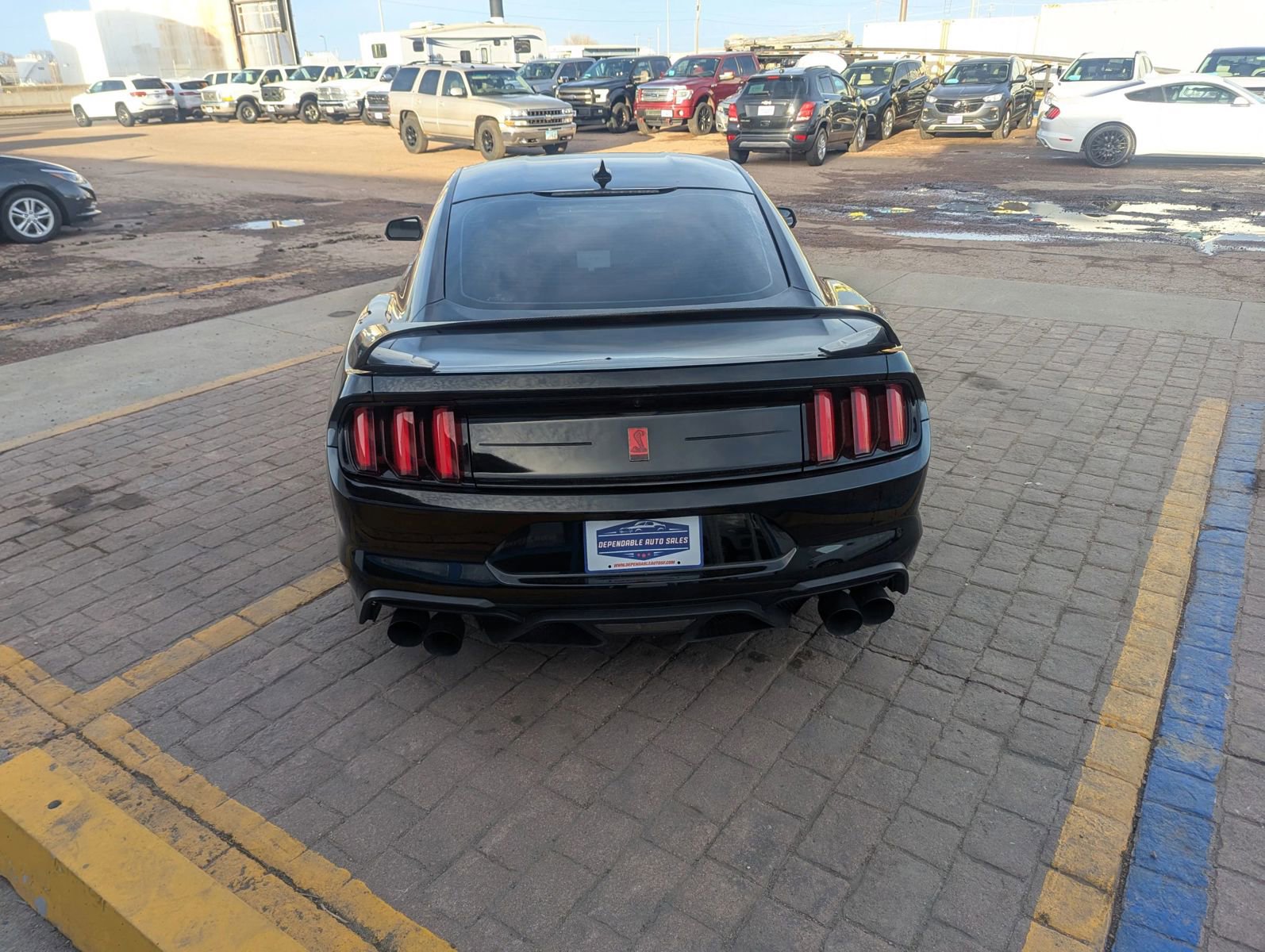 Used 2020 Ford Mustang Shelby GT350R w/ GT350R Equipment Group 920A image 4