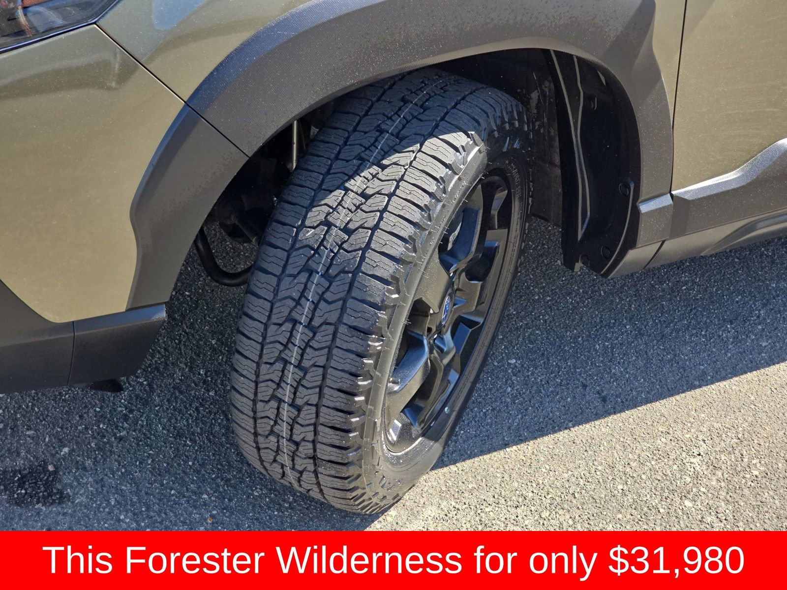 Used 2024 Subaru Forester Wilderness AWD/4WD image 39