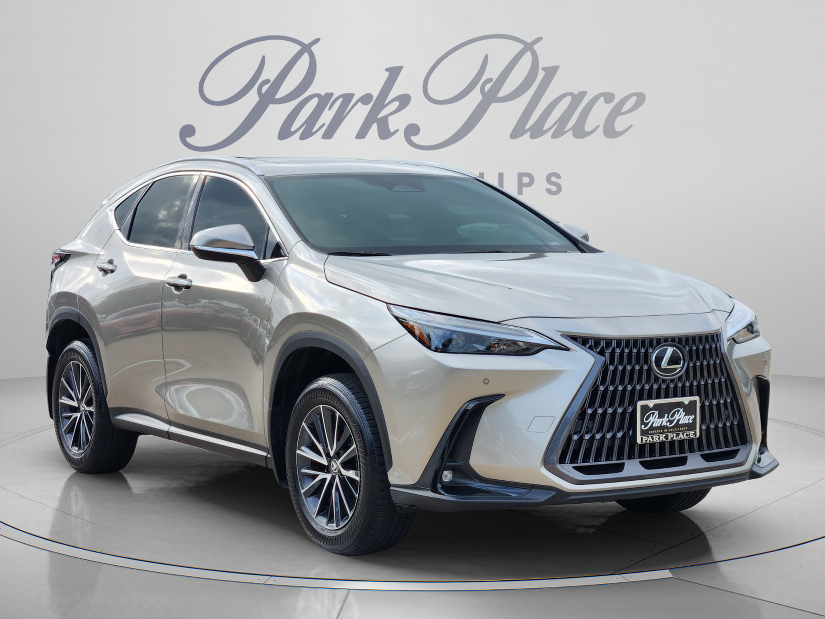 Used 2024 Lexus NX 250 FWD image 4