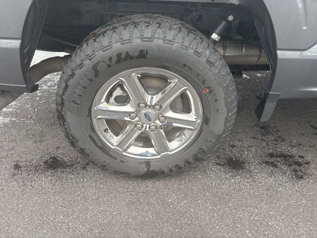 Used 2025 Ford F150 XLT w/ Equipment Group 301A Standard image 9