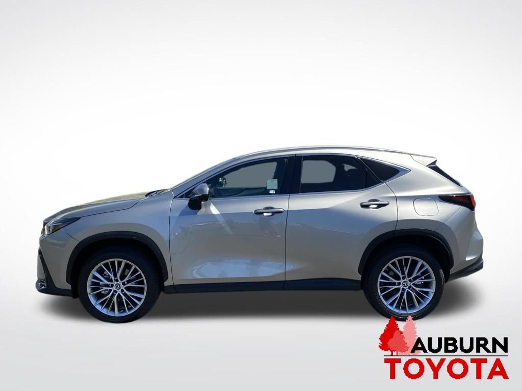 Used 2023 Lexus NX 350 AWD w/ Vision Package image 4