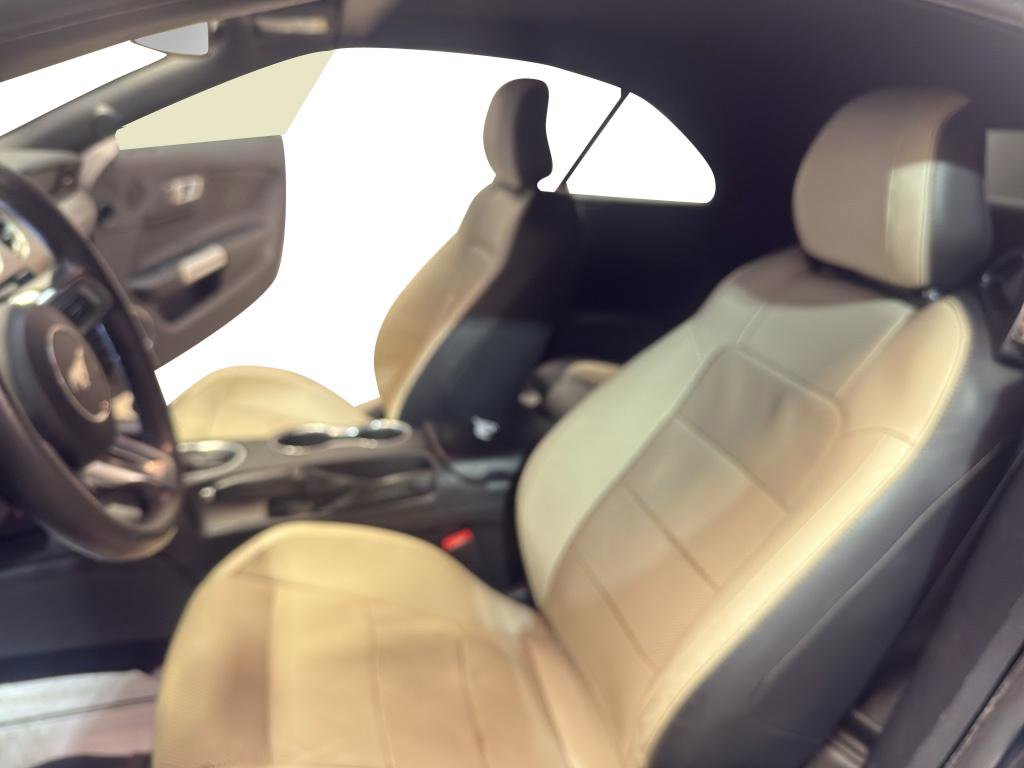 Used 2019 Ford Mustang Premium image 14