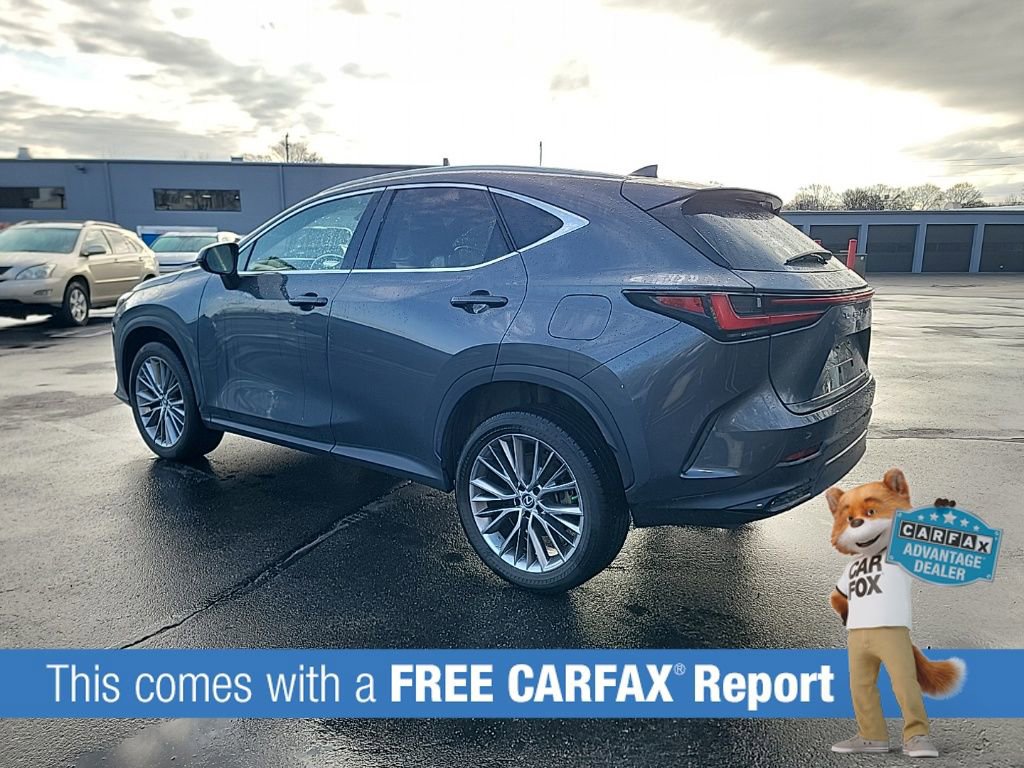 Used 2023 Lexus NX 350h AWD w/ Cold Area Package image 3