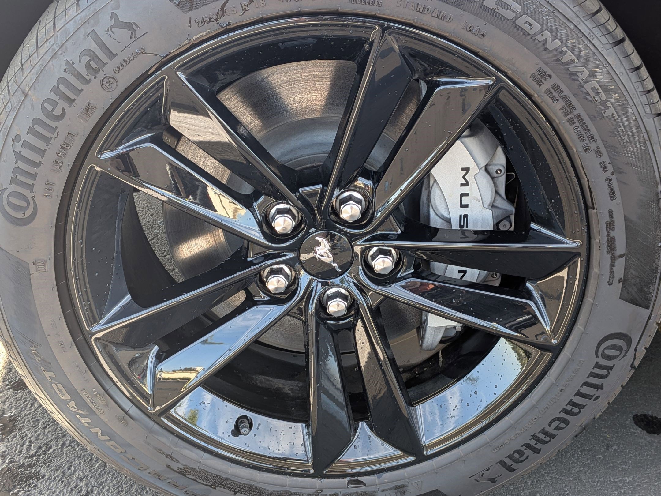 Used 2025 Ford Mustang GT image 13