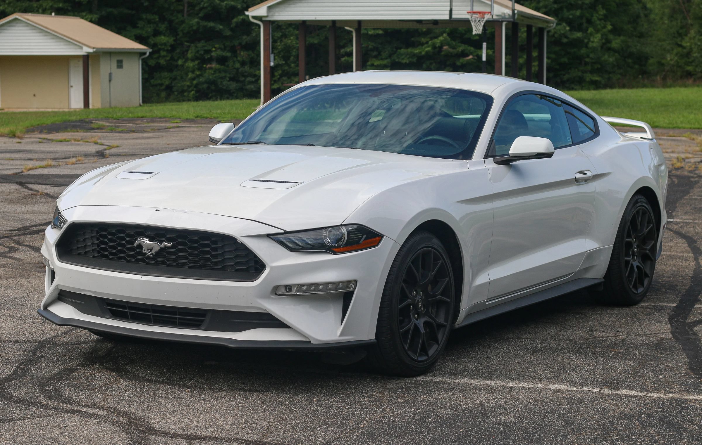 Used 2019 Ford Mustang Premium w/ Ecoboost Performance Package RWD image 3