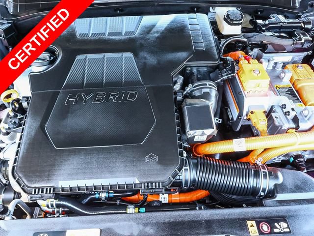 Certified 2023 Hyundai Elantra Limited FWD image 12