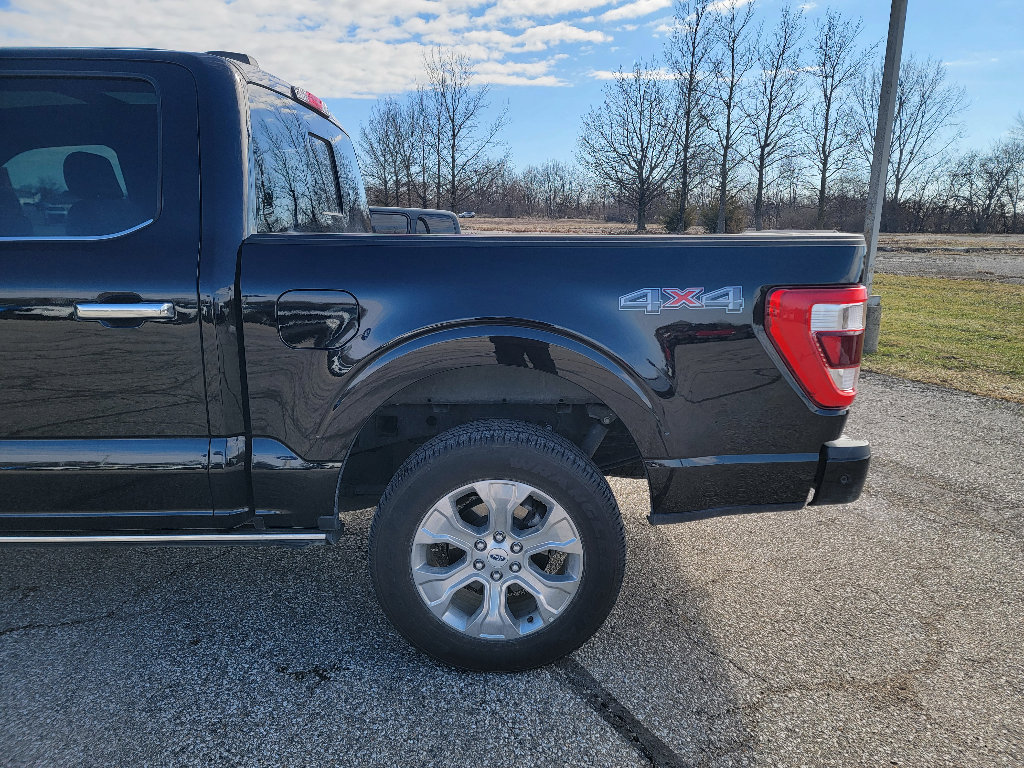 Used 2023 Ford F150 Platinum w/ Equipment Group 701A High image 6