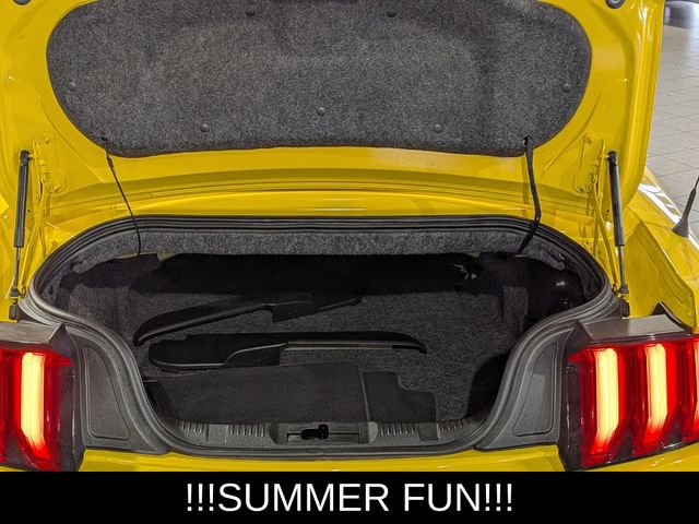 Used 2018 Ford Mustang Premium w/ Equipment Group 201A RWD image 21