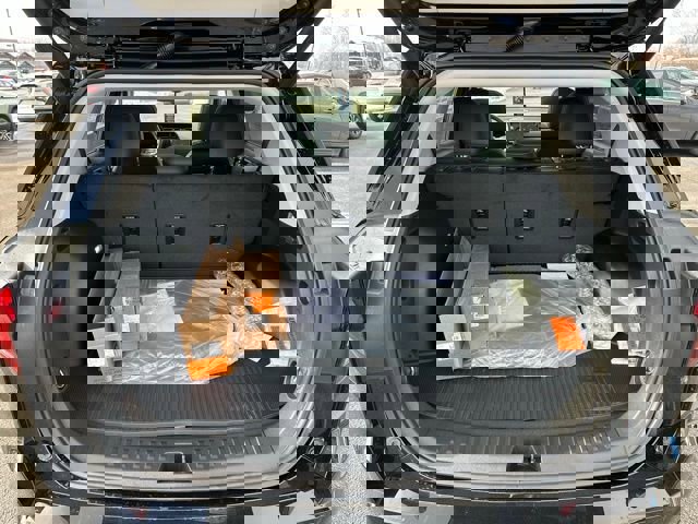 New 2026 GMC Terrain Denali w/ LPO, Black Badging Package image 17